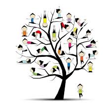 Stage Yoga enfant 7 ans et +