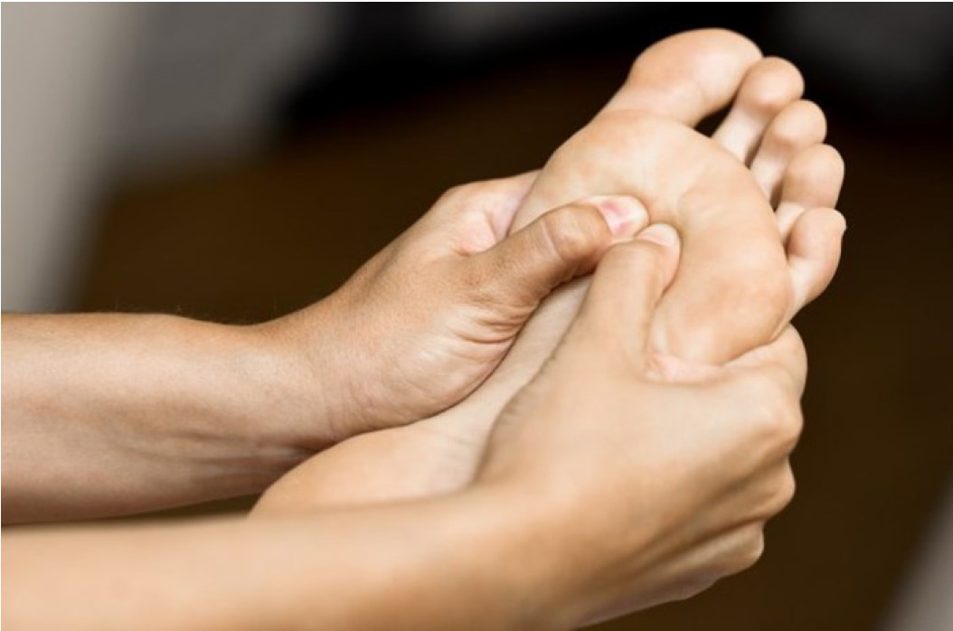 Stage de Do-In Gymnastique de santé du Printemps||Adulte
