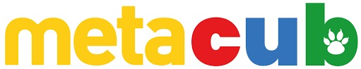 Stage METACUB