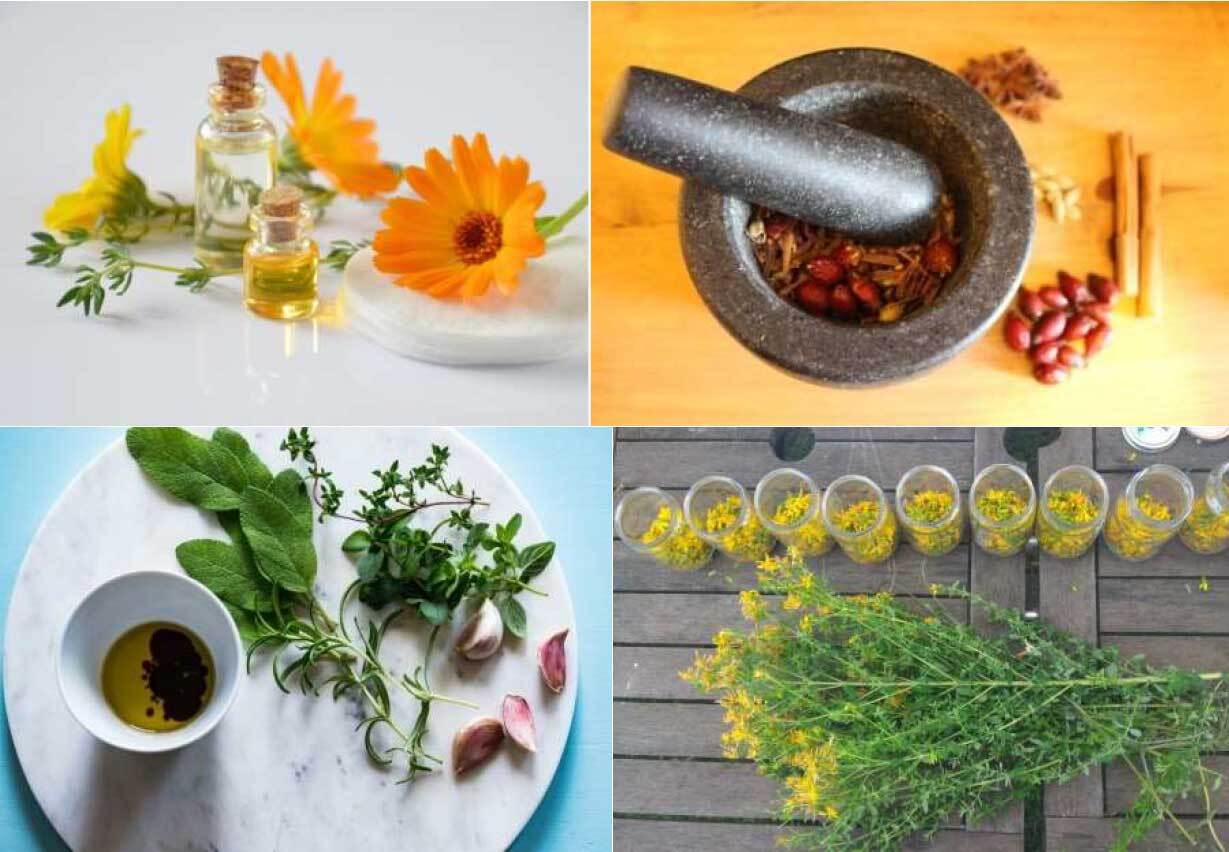 Atelier Bien-être par les Plantes||Dès 15 ans