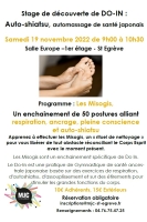 Stage DoIn - Les misogis