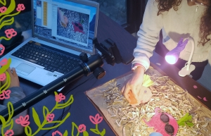 Stage de découverte du cinéma d'animation||Dès 4 ans