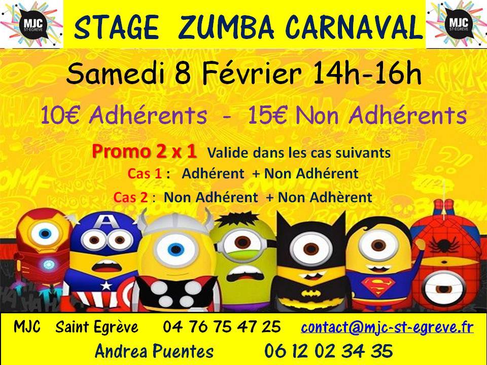 Stage de Zumba